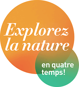 Explorez la nature en quatre temps!